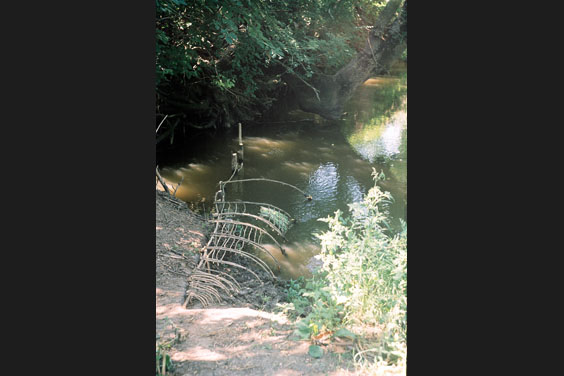 Господаревска река в Странджа планина край с.Загорци / 2001г.