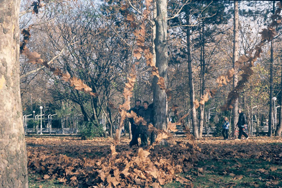 Листопад в морската градина - гр. Бургас / 2002г.